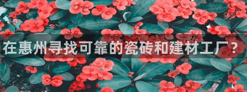杏鑫有亏损返点吗