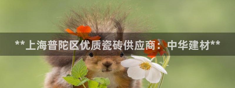 杏鑫娱乐靠谱吗