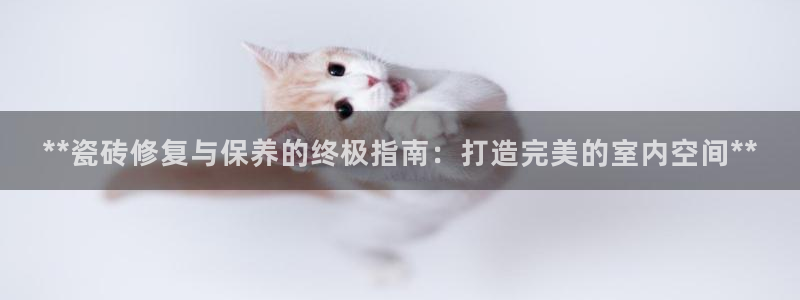杏鑫平台登陆