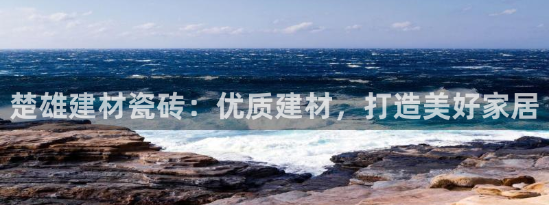 杏鑫官网注册账号密码忘了