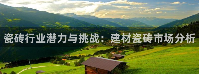杏鑫平台注册地址是哪里