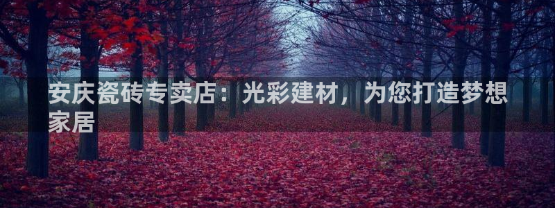 杏鑫官网最新信息新闻