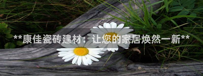 杏鑫官网注册账号密码