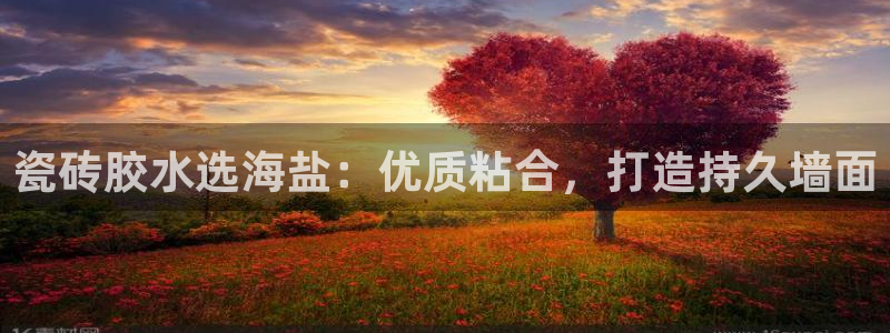 杏鑫平台招商电话号码是多少