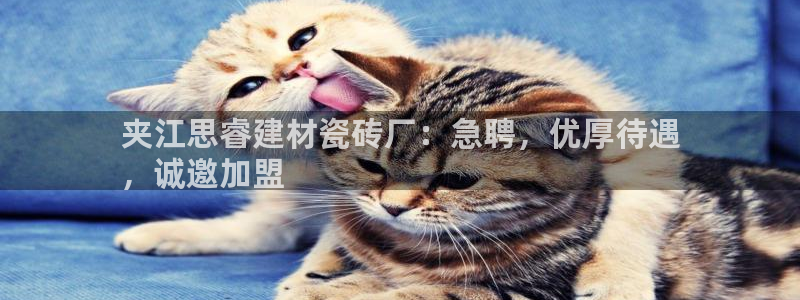 杏鑫平台怎么样黑钱吗是真的吗知乎