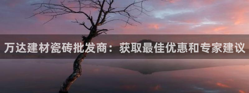 杏鑫平台代理注册