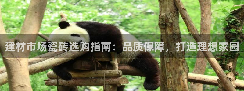 杏鑫平台代理注册多少钱啊