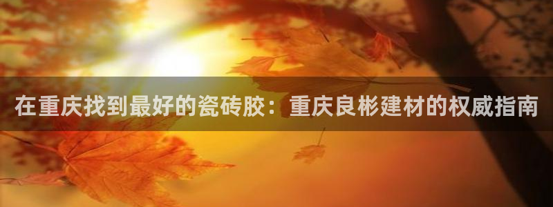 杏鑫平台注册地址是哪里