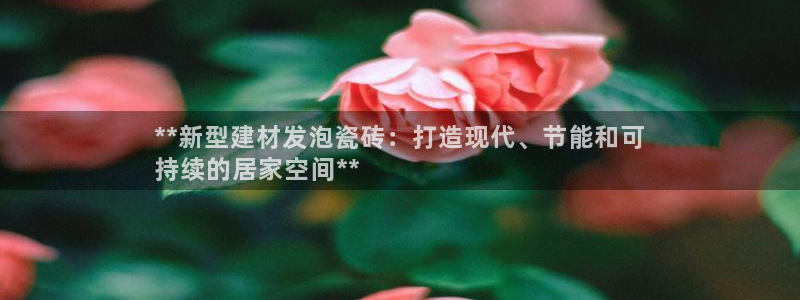 杏鑫平台代理怎么样