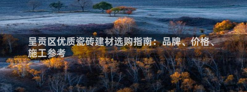 杏鑫主管
