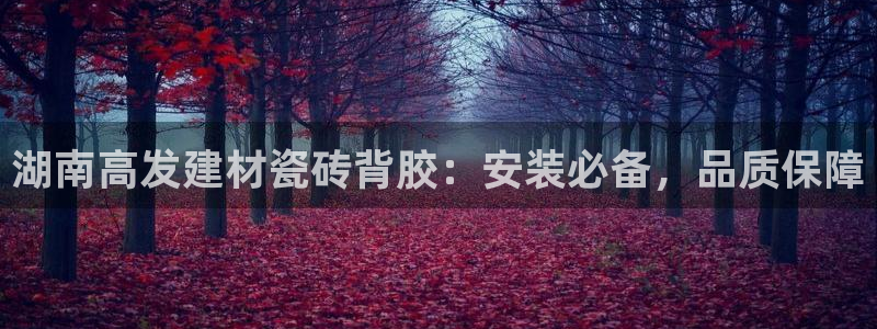 杏鑫官方平台怎么样啊可靠吗