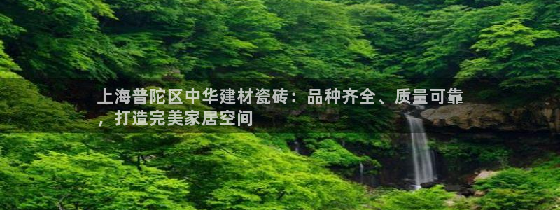 杏鑫平台在线注册流程