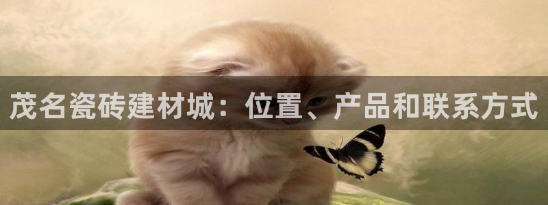 杏鑫代理注册登录