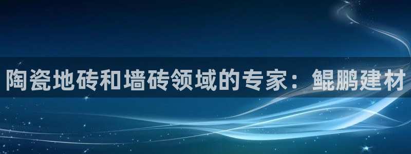 杏鑫娱乐开发团队