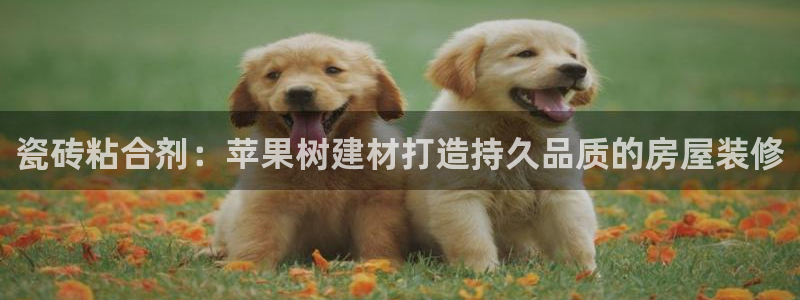 杏鑫平台怎么样黑钱吗知乎推荐