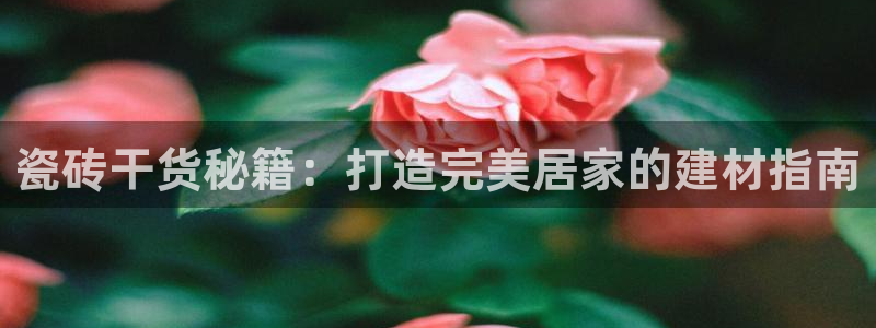 杏鑫平台平台娱乐
