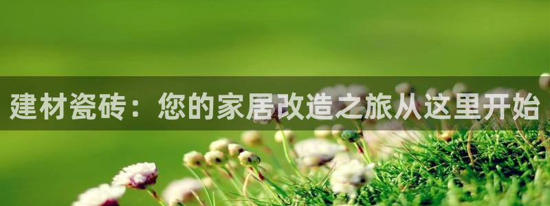 杏鑫娱乐官网登录不了