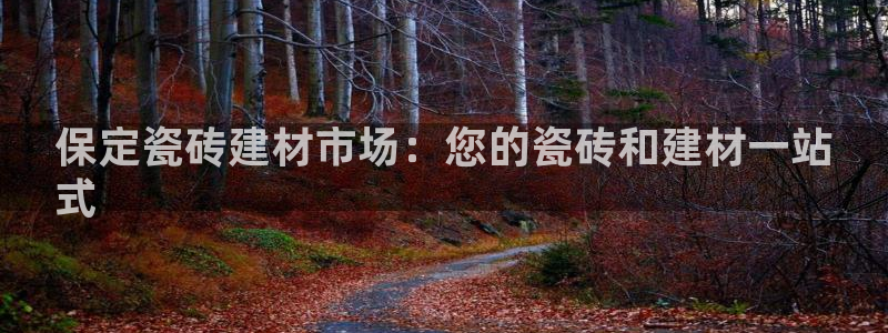 杏鑫注册登录平台是什么