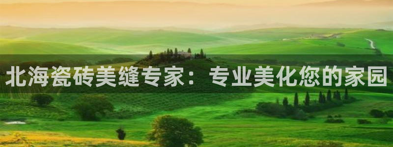 杏鑫平台代理怎么样啊