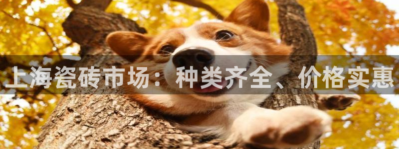 杏鑫官网注册账号怎么注册