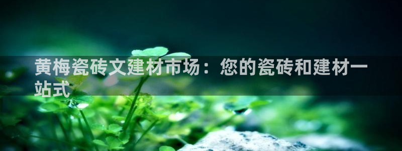 杏鑫平台代理注册流程视频