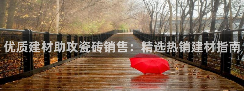 杏鑫平台野马联盟怎么样