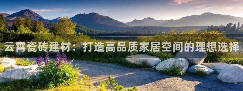杏鑫官网注册账号密码是多少