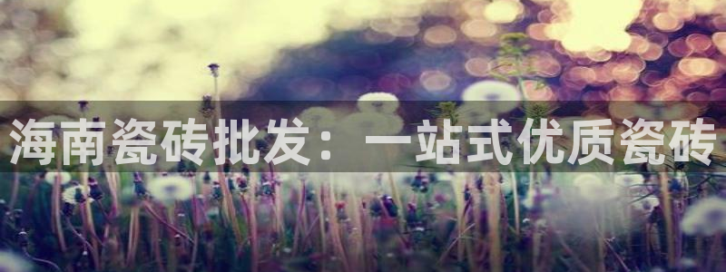 杏鑫平台念7O777