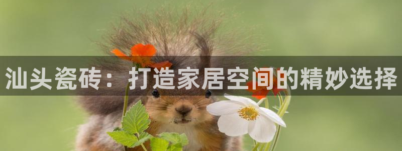 杏鑫主管