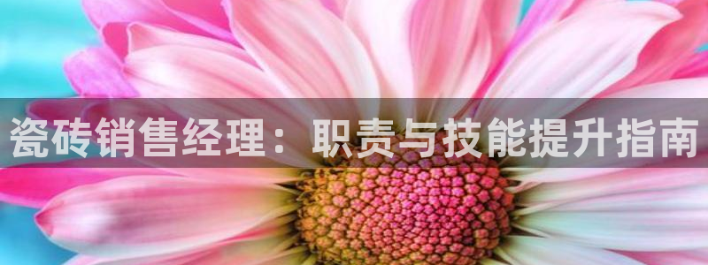 杏鑫官方平台怎么样啊知乎