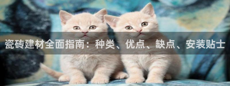 杏鑫平台怎么样黑钱吗是真的吗知乎