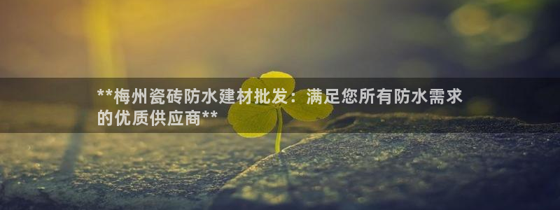 杏鑫娱乐平台测速怎么样