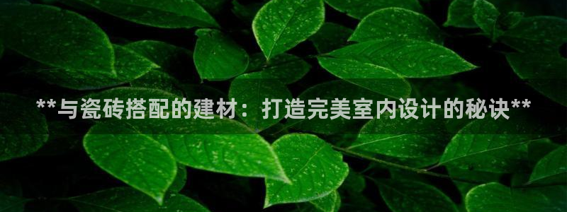 杏鑫娱乐平台测速怎么样