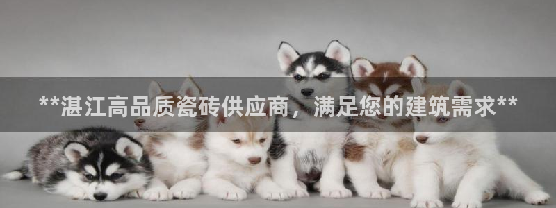杏鑫平台怎么样黑钱吗安全吗是真的吗