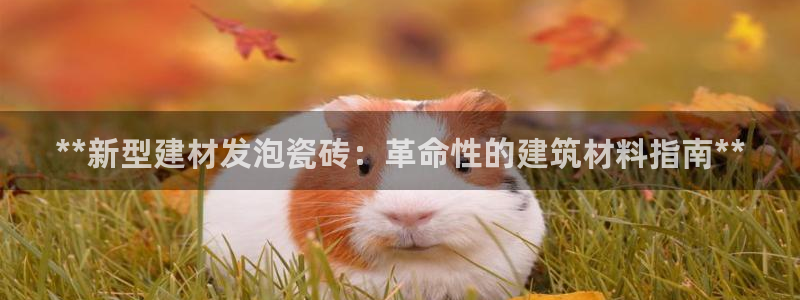 杏鑫平台招商电话号码查询