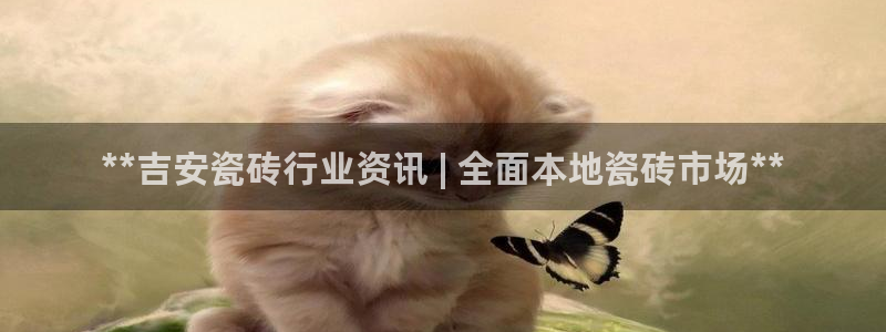 杏鑫平台代理怎么做赚钱