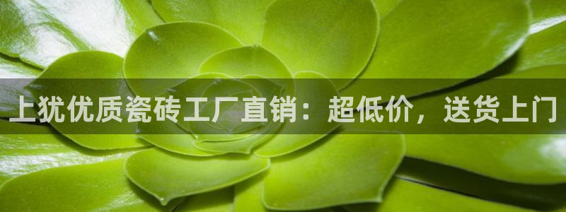杏鑫平台招商怎么样可靠吗