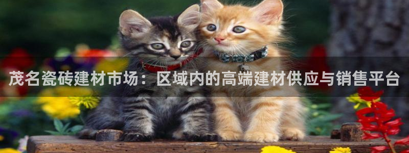 杏鑫平台怎么样黑钱吗安全吗是真的吗