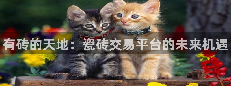 杏鑫平台怎么样黑钱吗知乎