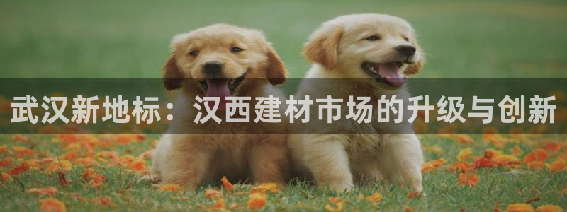 杏鑫娱乐是真的吗还是假的