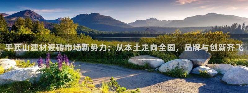 杏鑫手机客户端怎么下载