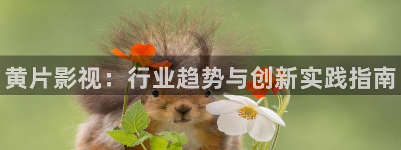 真不卡影院官网