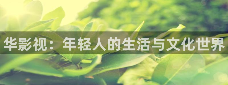 真不卡影视app：华影视：年轻人的生活与文化世界