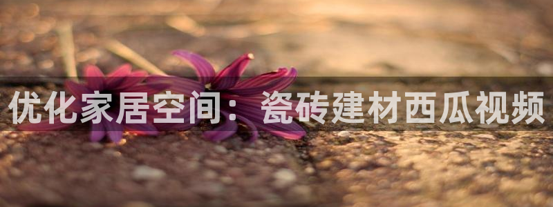 杏鑫平台代理注册流程视频