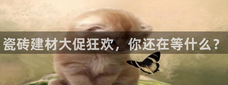 杏鑫代理注册资金多少