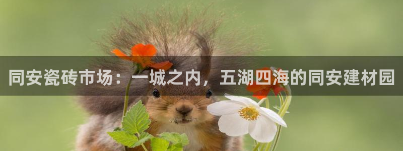 杏鑫登录注册测速