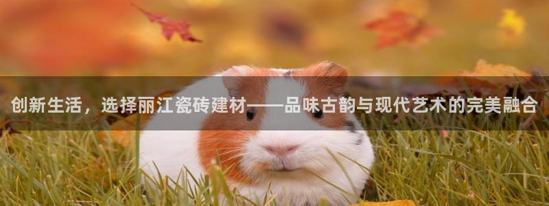 杏鑫注册平台官方网站