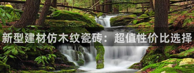 杏鑫平台在线注册怎么注册