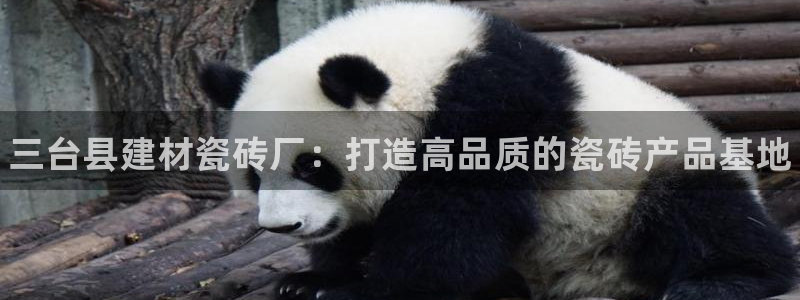 杏鑫平台代理怎么样可靠吗