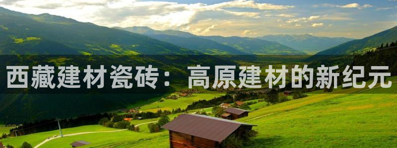 杏鑫官方app代理